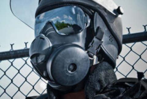 home_collection_links_image_masks